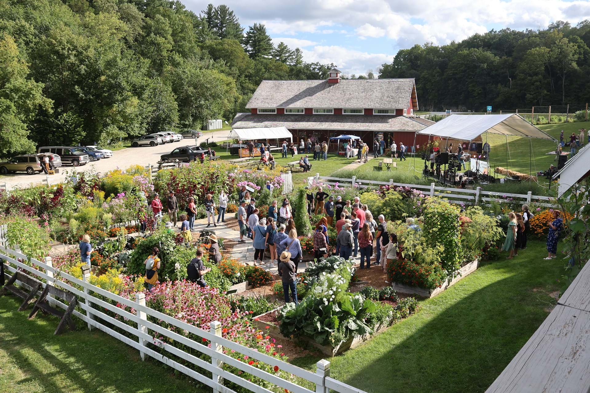 Tour of Diane's Garden