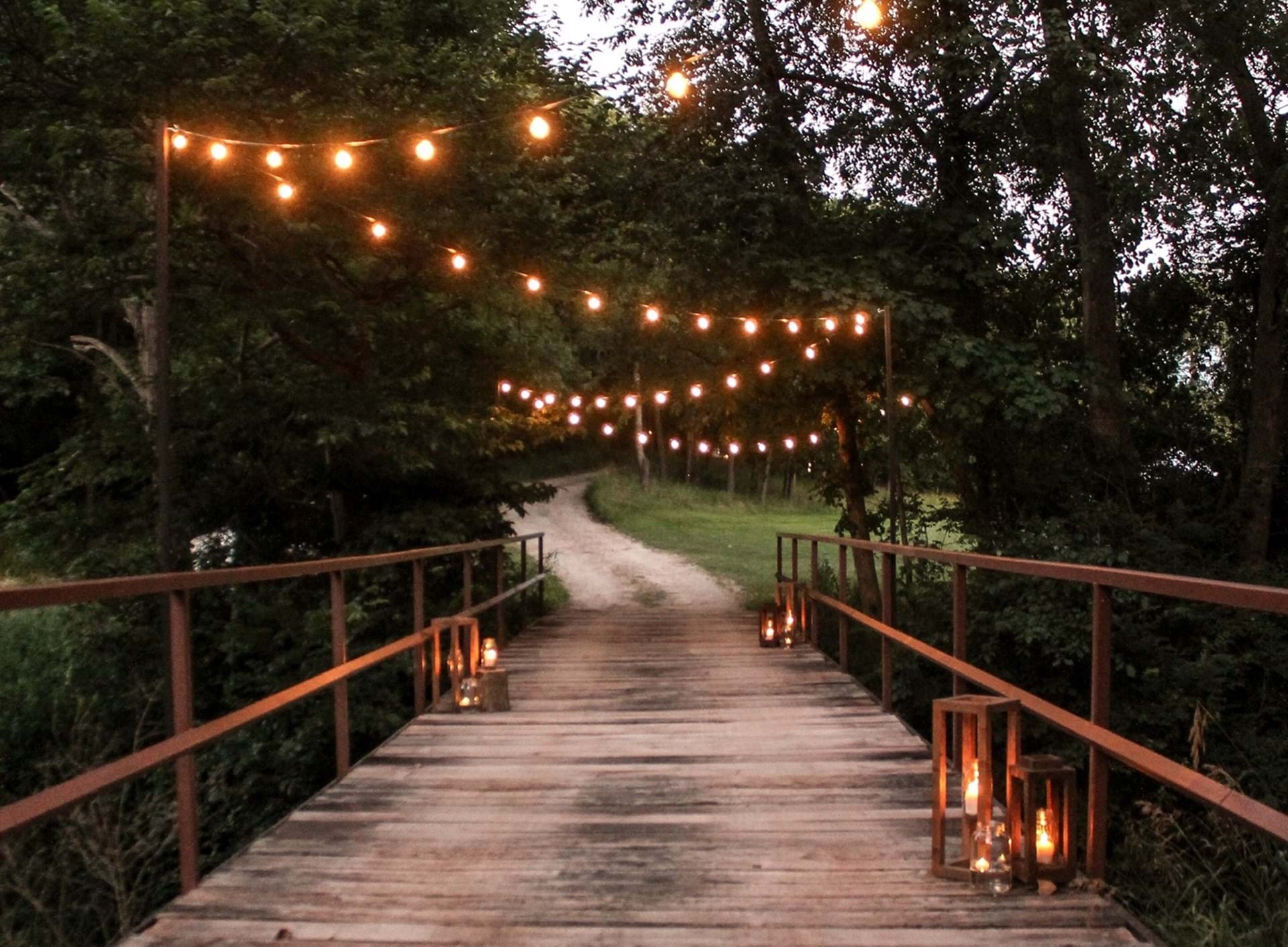 Bridge to Picnics