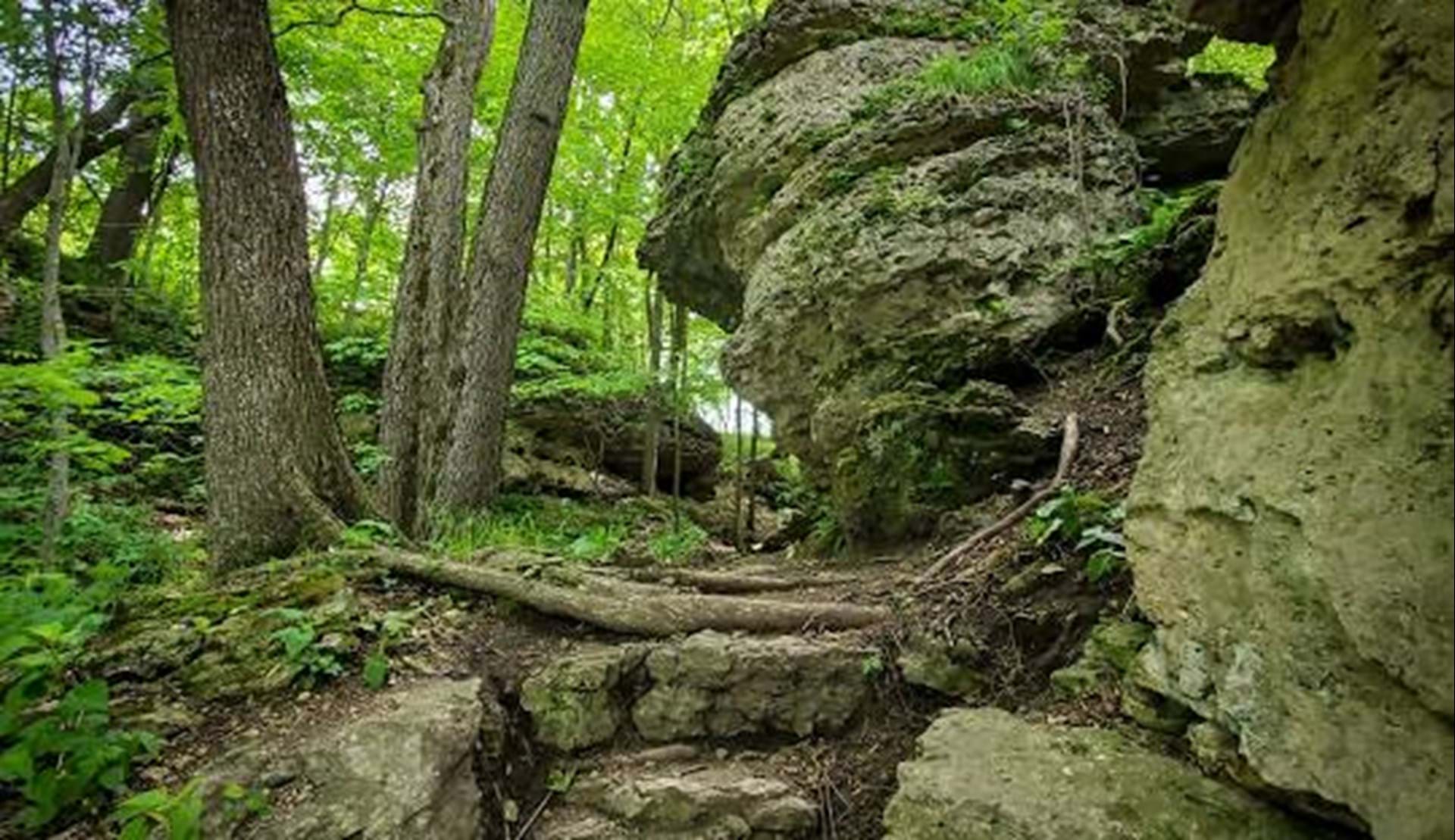 Limestock rock in nearby Backbone State Park