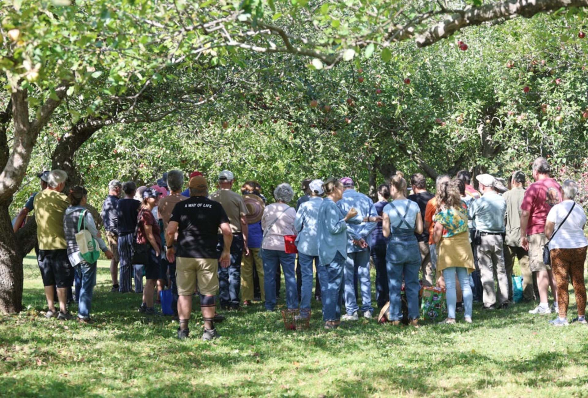 A tour group gathers to learn about historic apples at Heritage Farm.