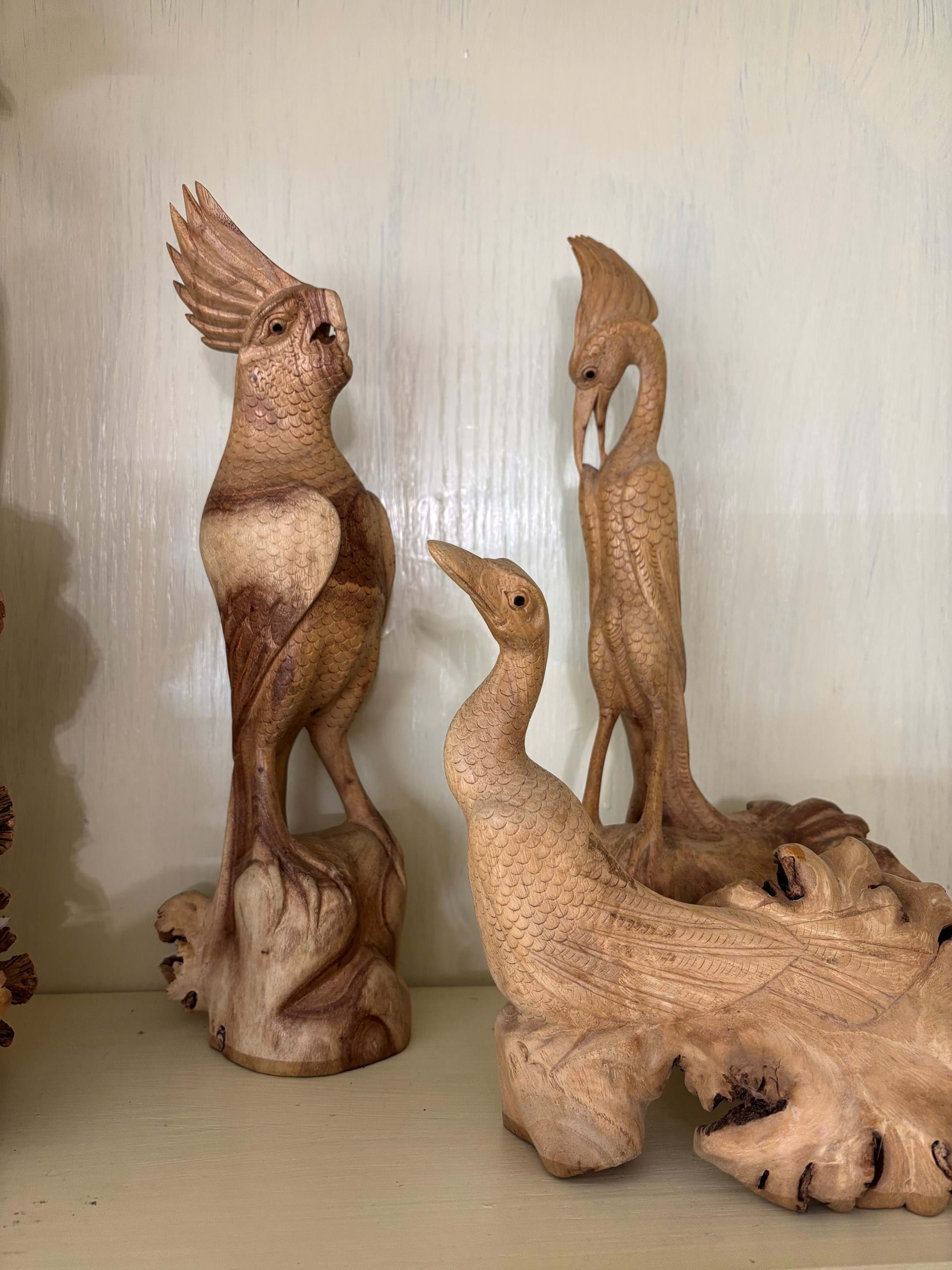 birds