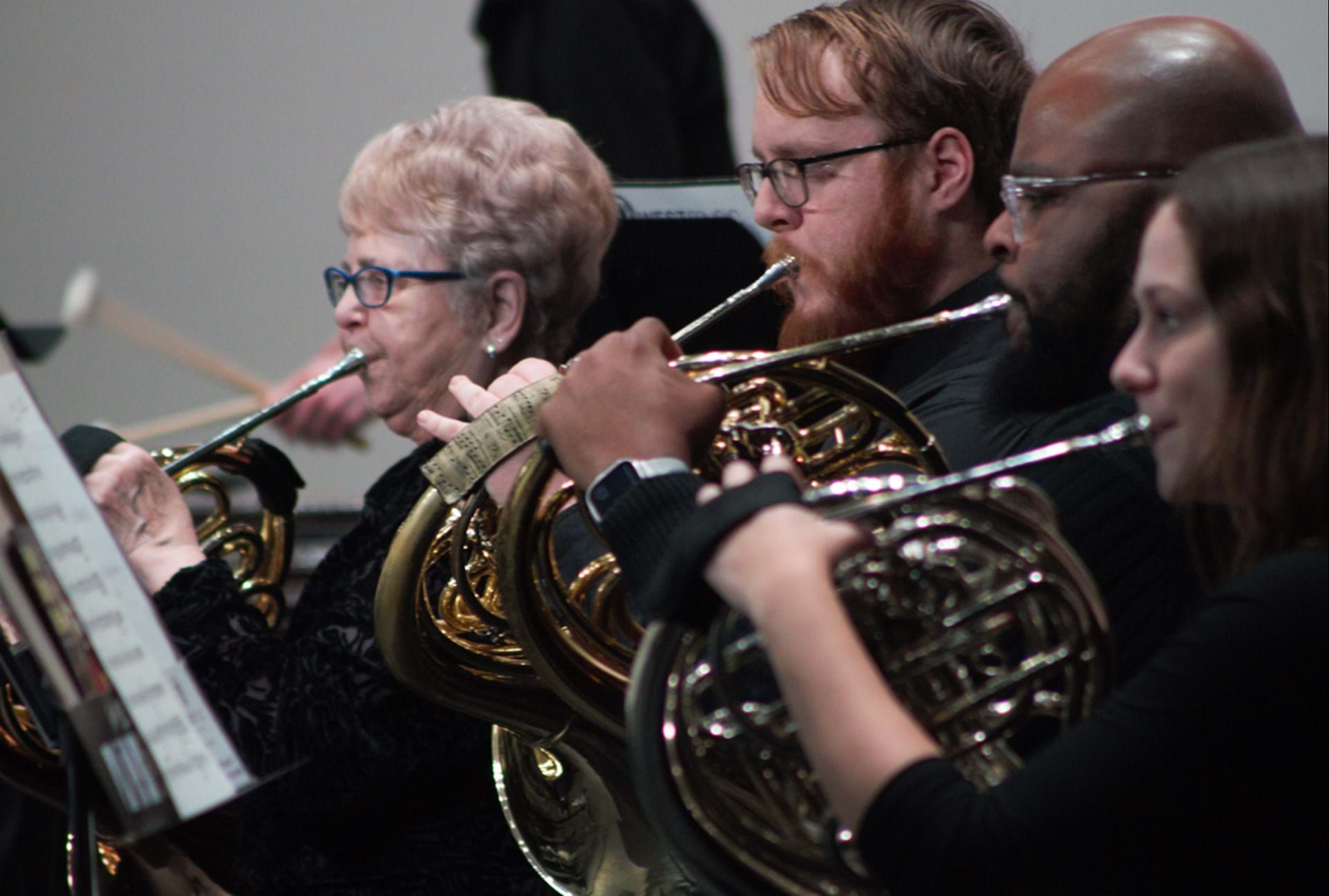 OVCO horns