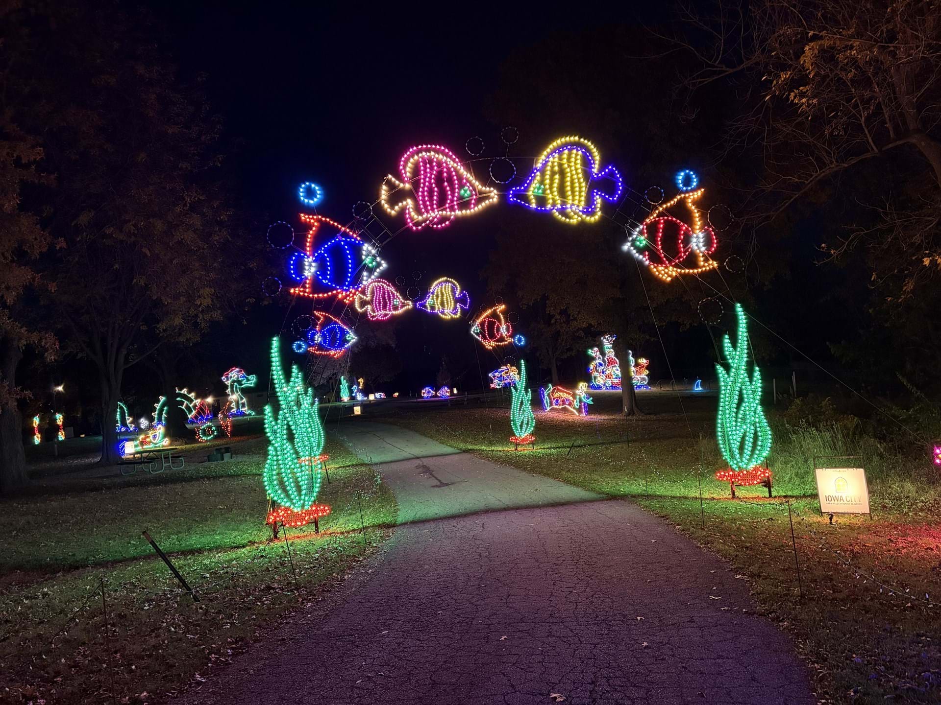 Come SEA our new displays!