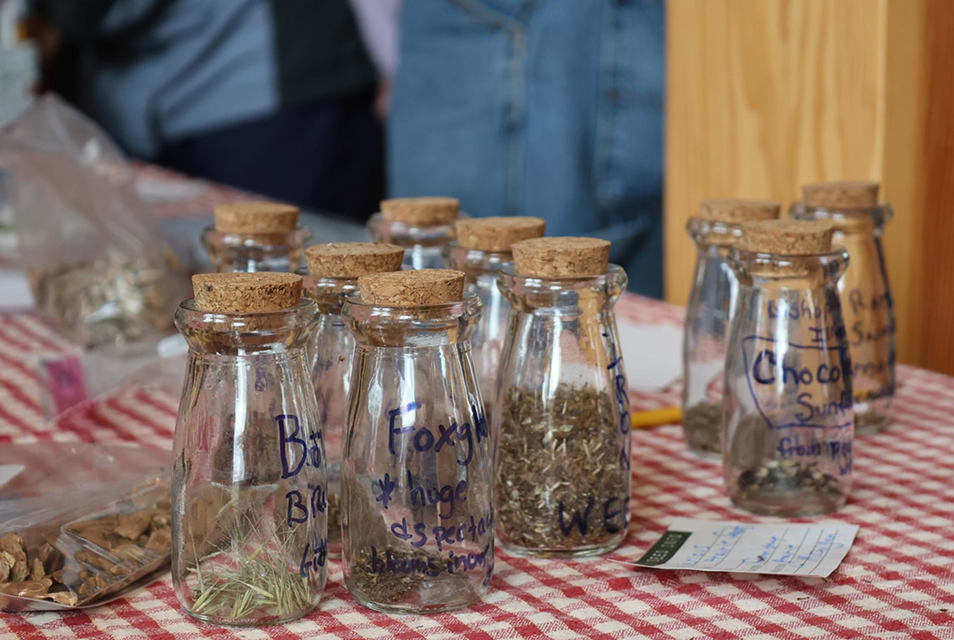 Homegrown seeds in glass jars