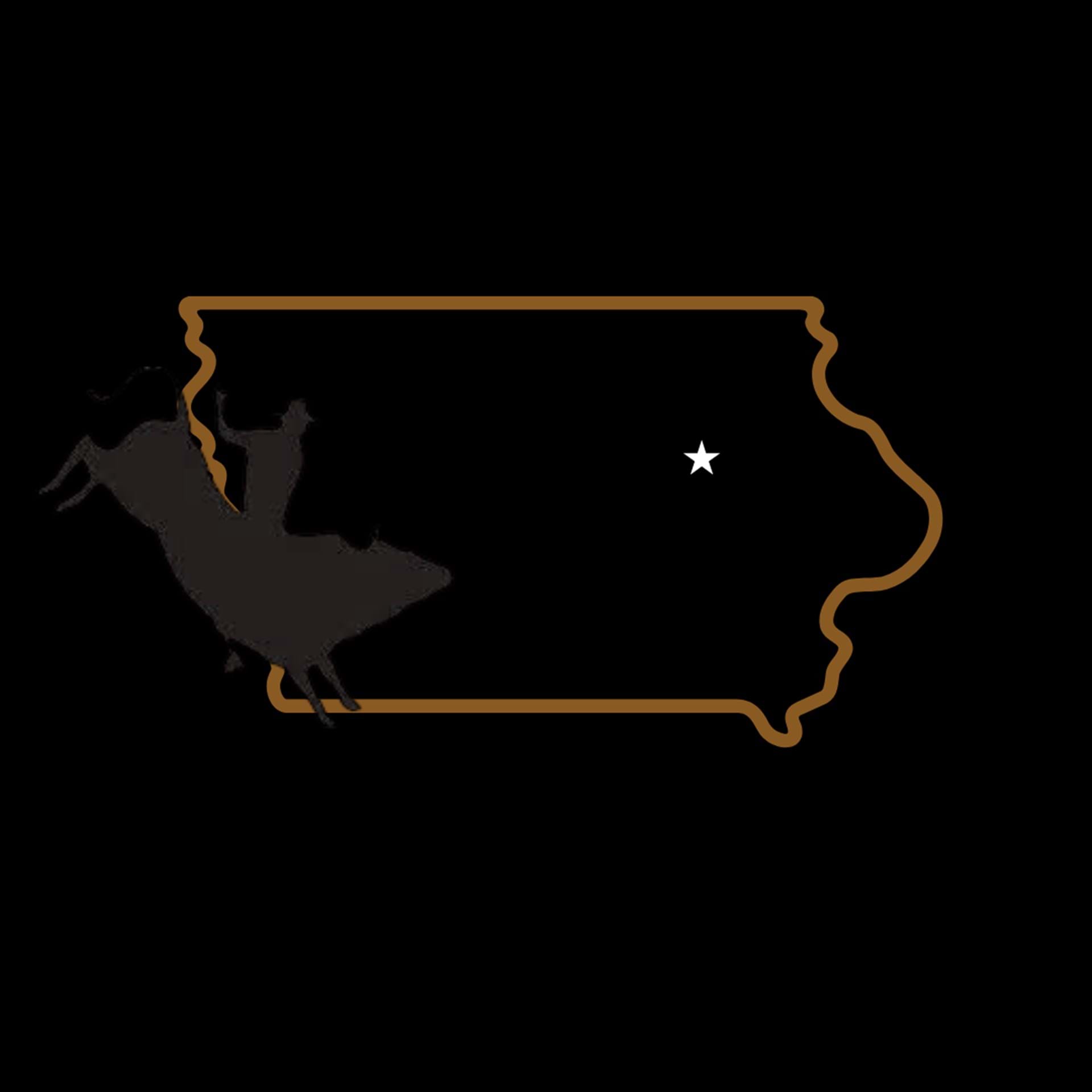 Waterloo Bull Riding Challenge