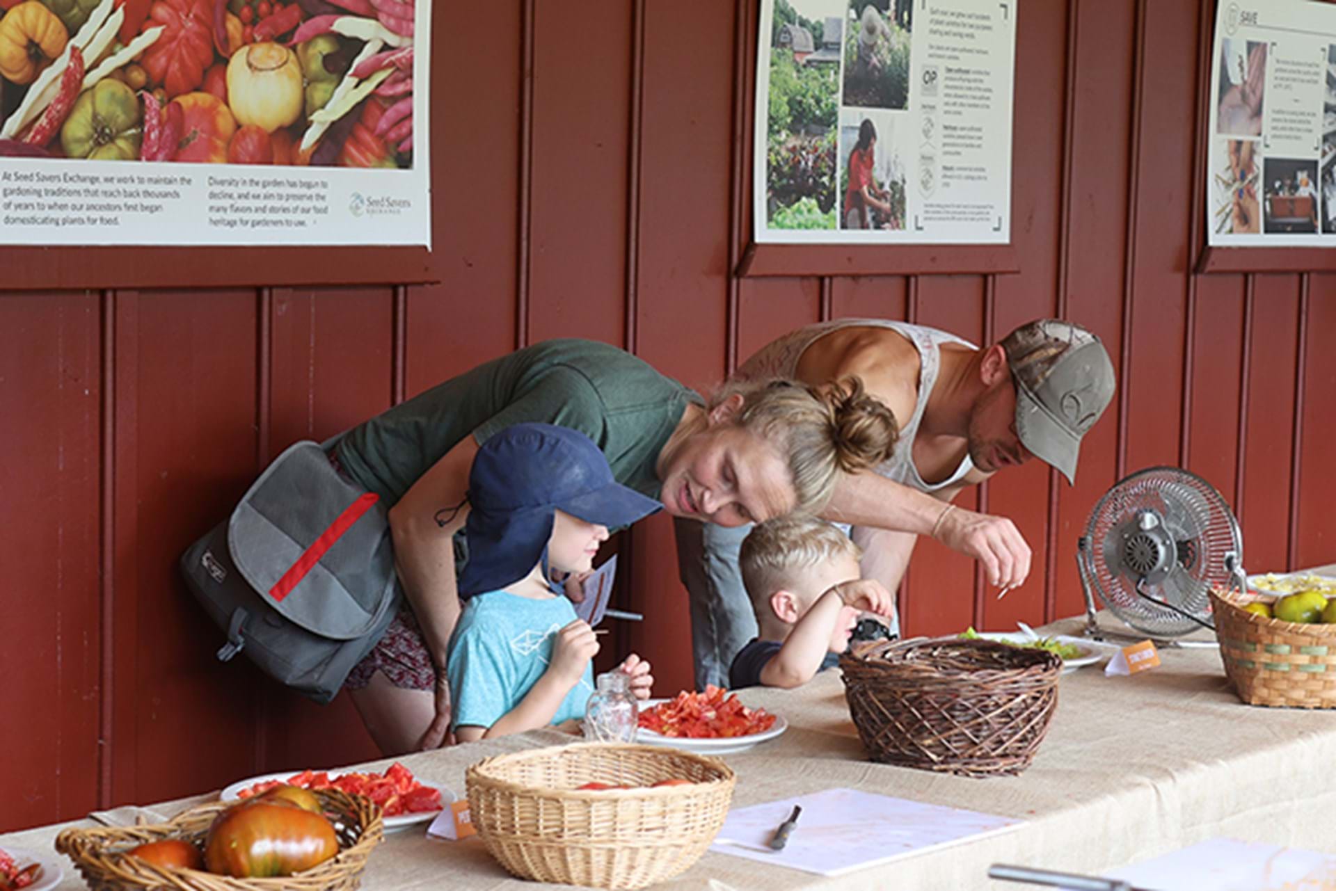 A family considers which tomato to vote for.