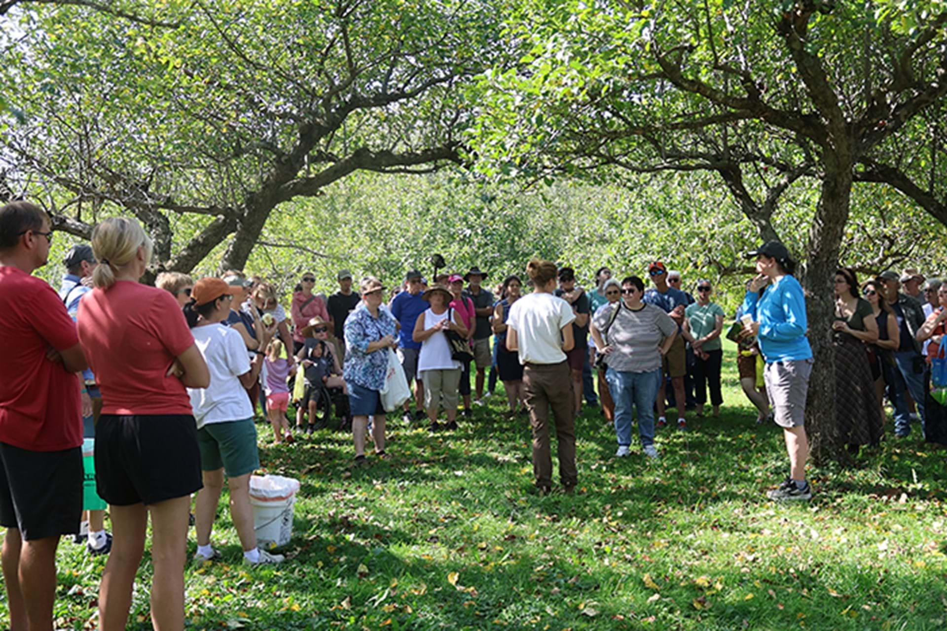 Tour group learns about historic apple varieties.