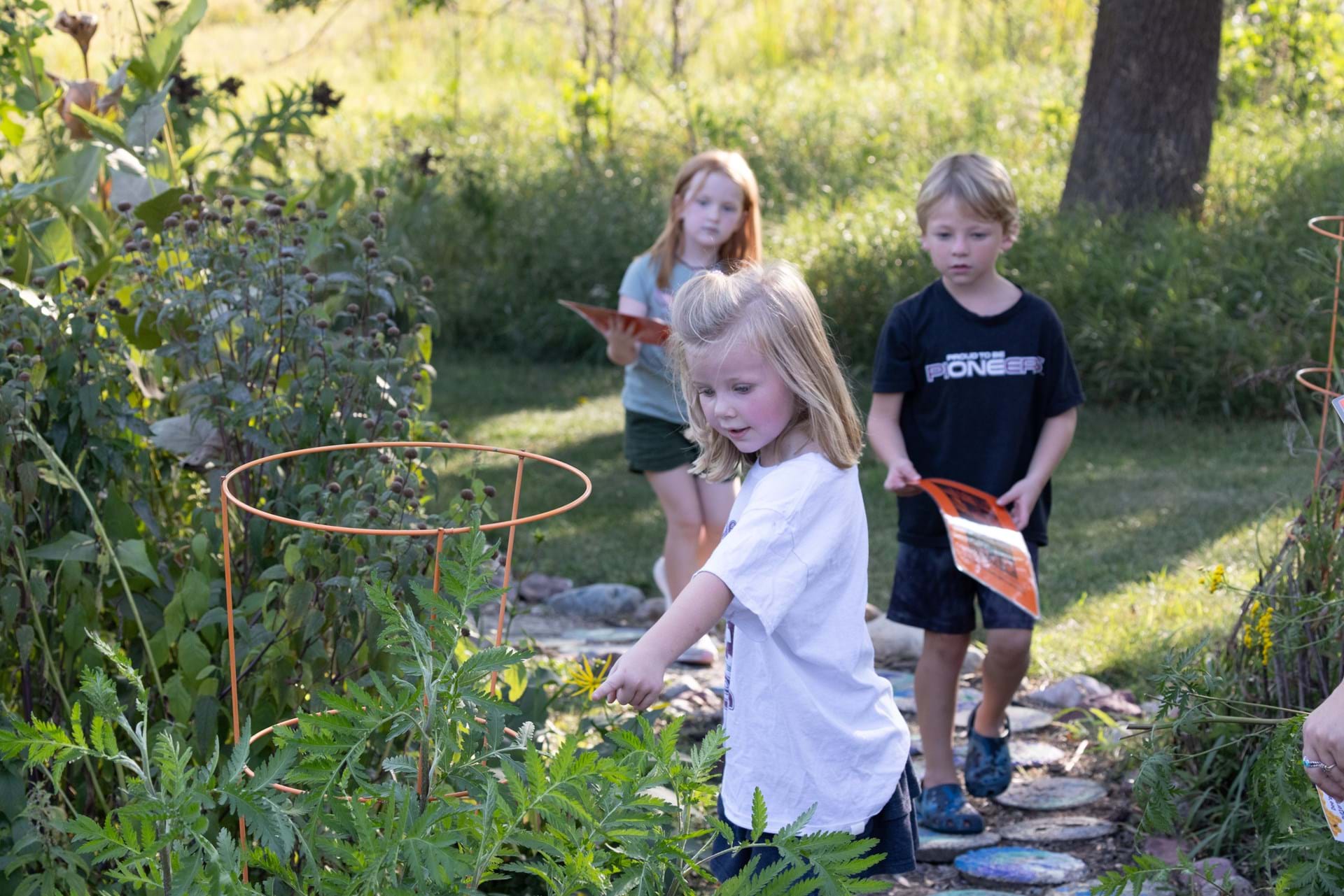 Bee & Butterfly Festival