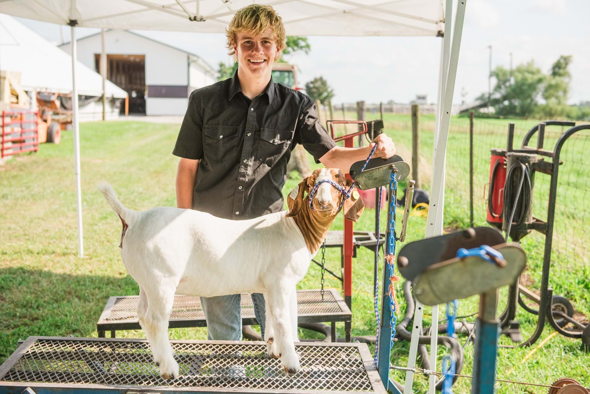 Grooming a goat for the Madison County Fair