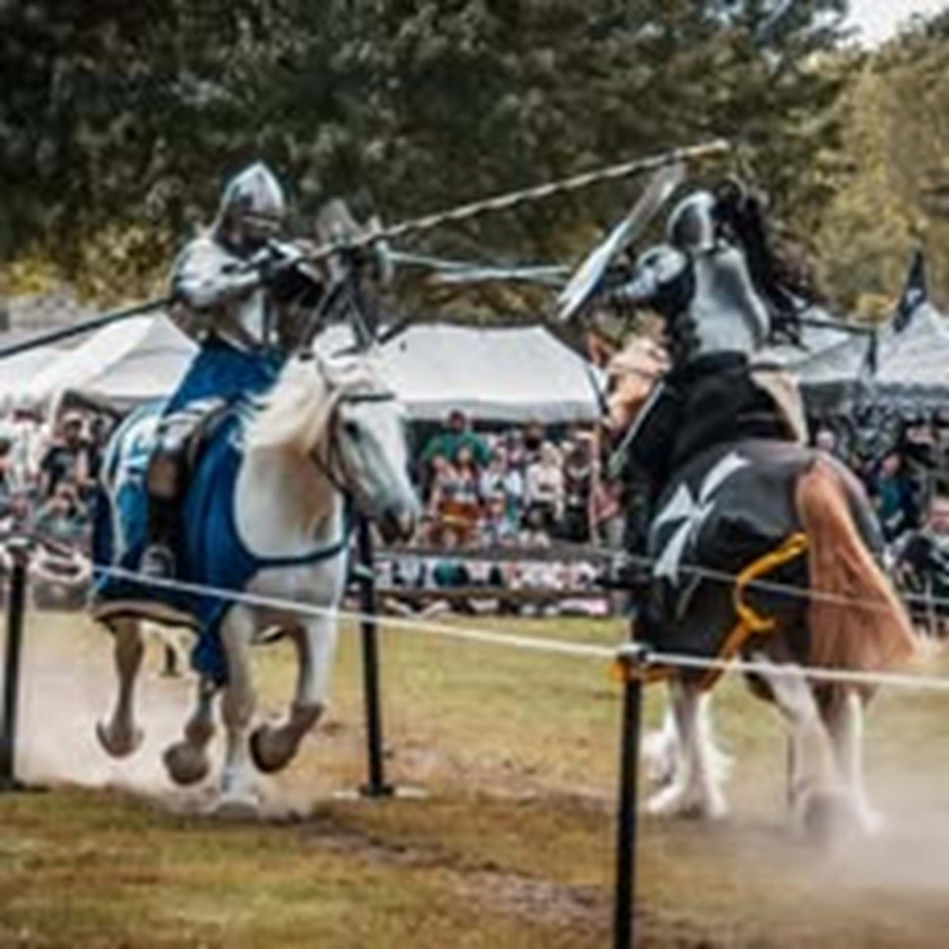 Live Jousting