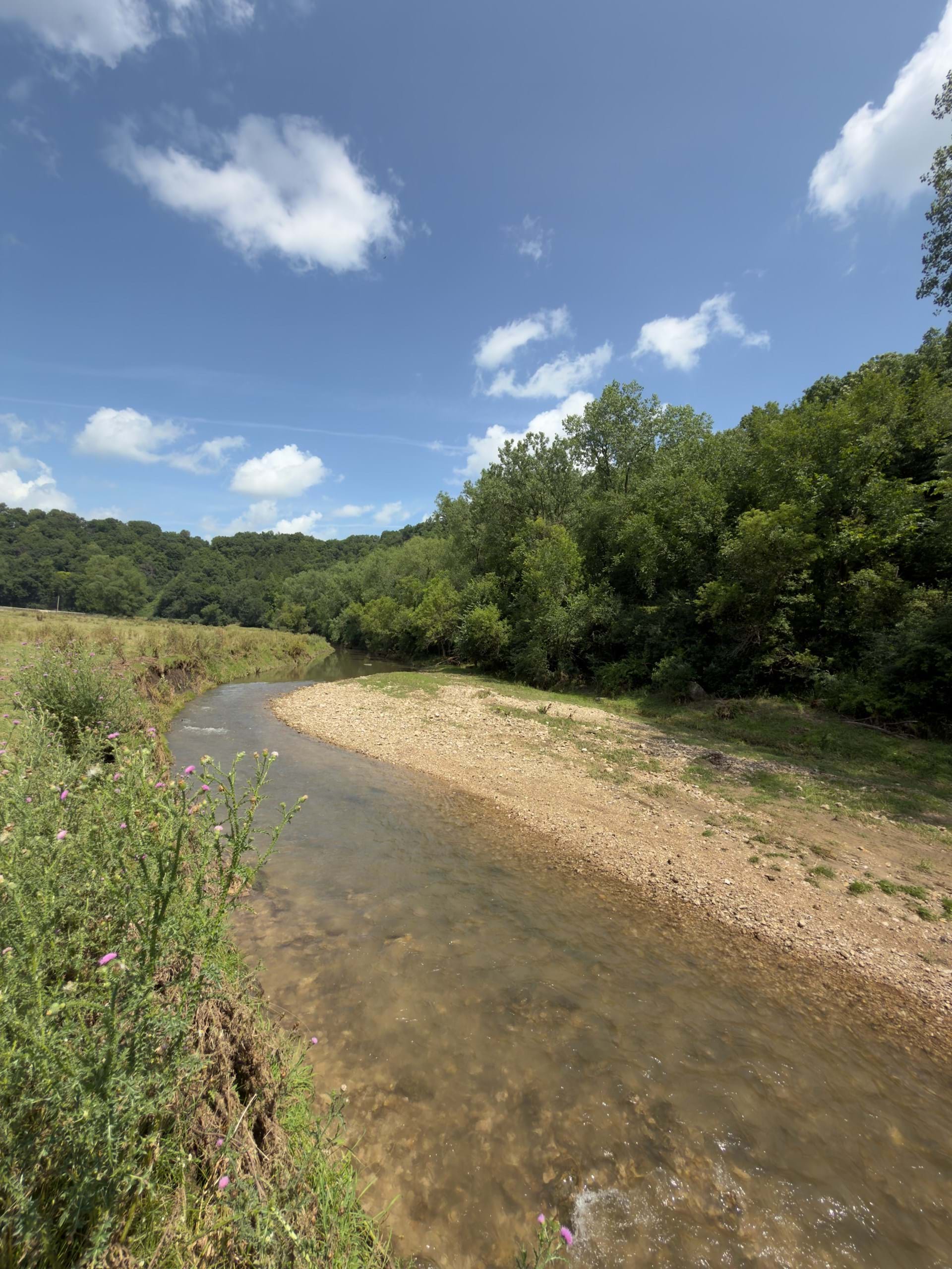 Waterloo Creek at Waterloo Hollow