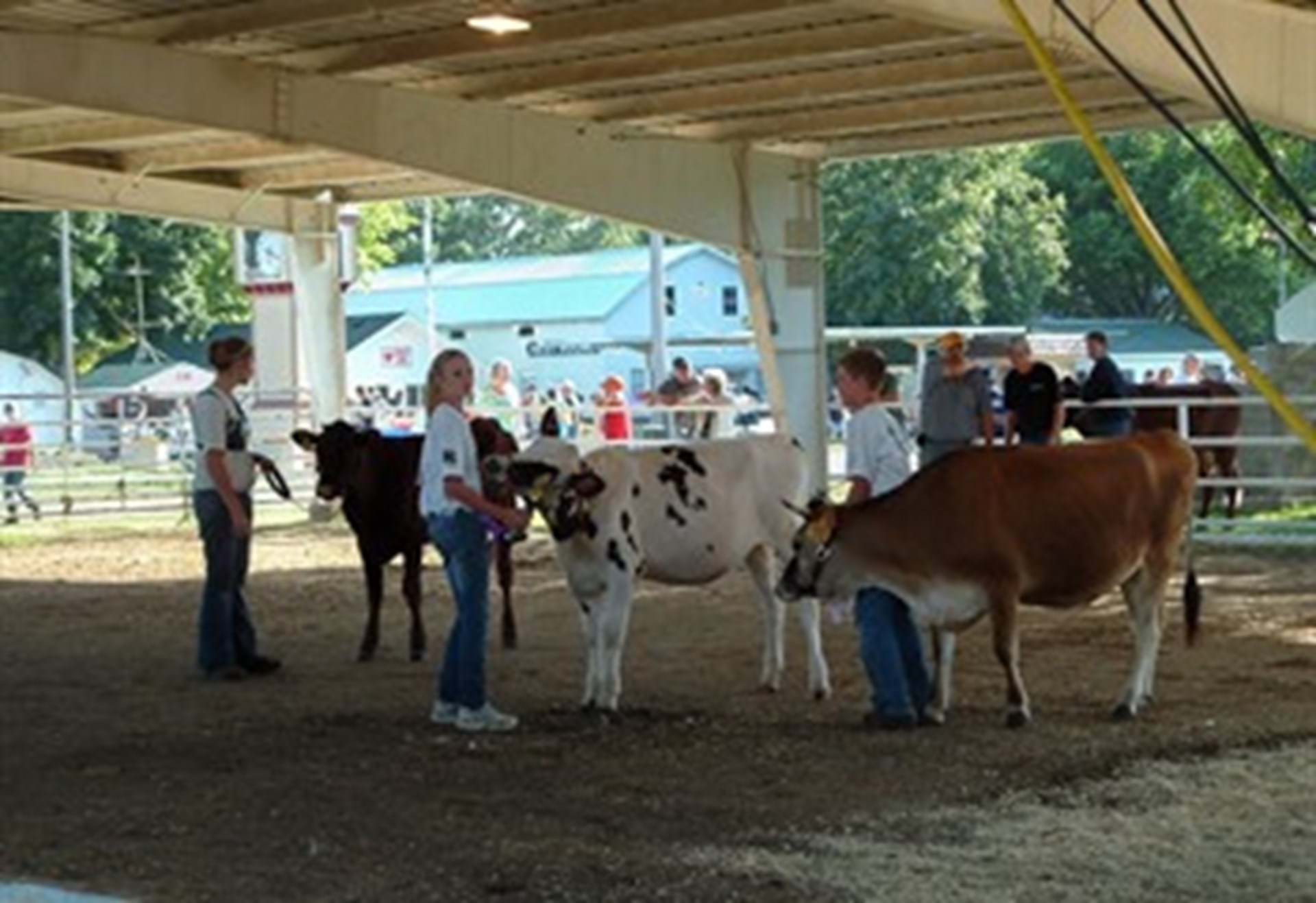 Plymouth County Fair Le Mars, Iowa Travel Iowa