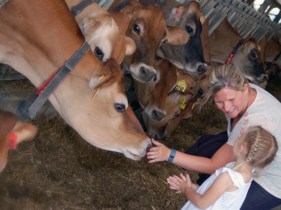 Iowa's Dairy Center, Calmar, Iowa