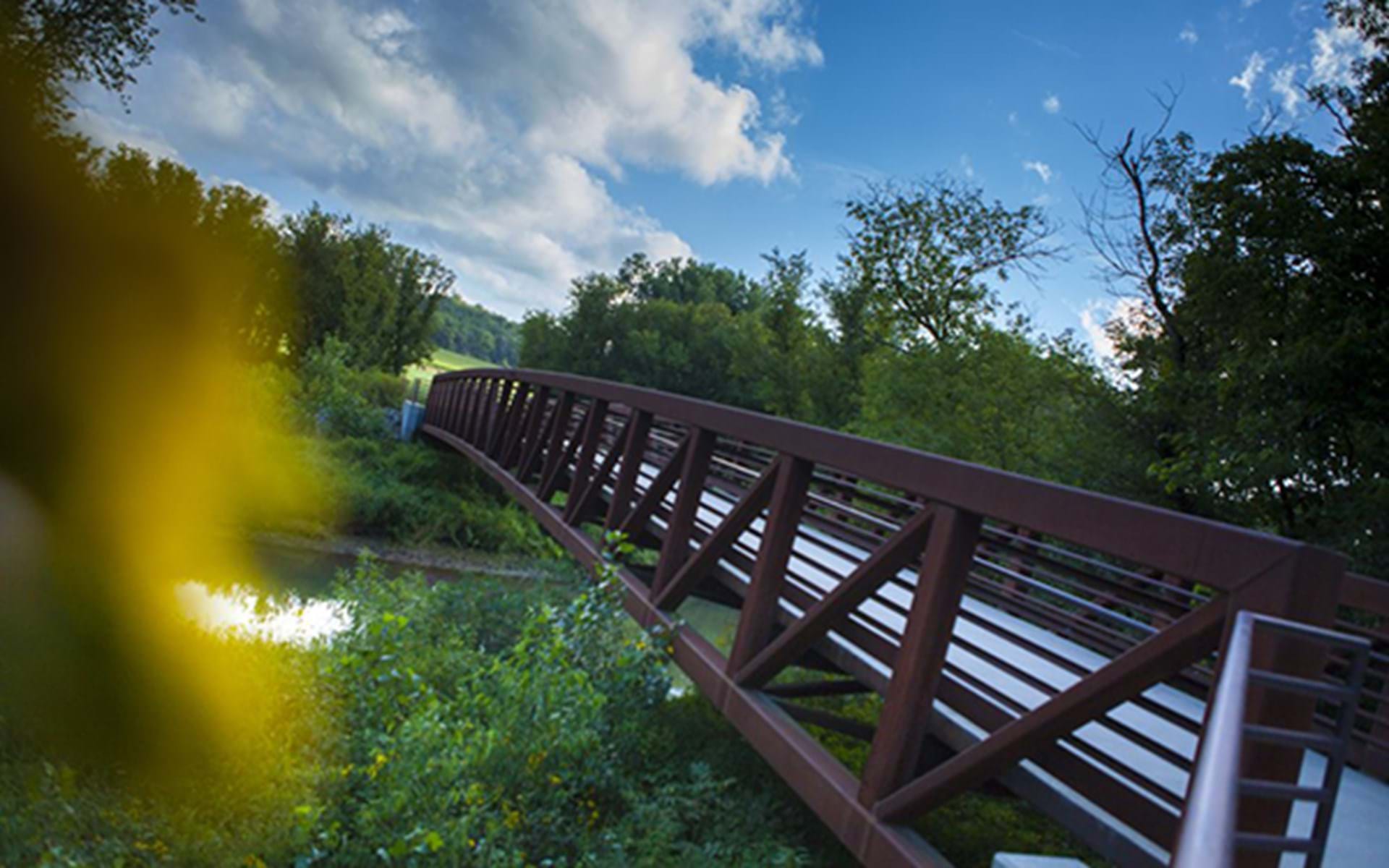 Loop the Loop: 9 Bike Trail Adventures