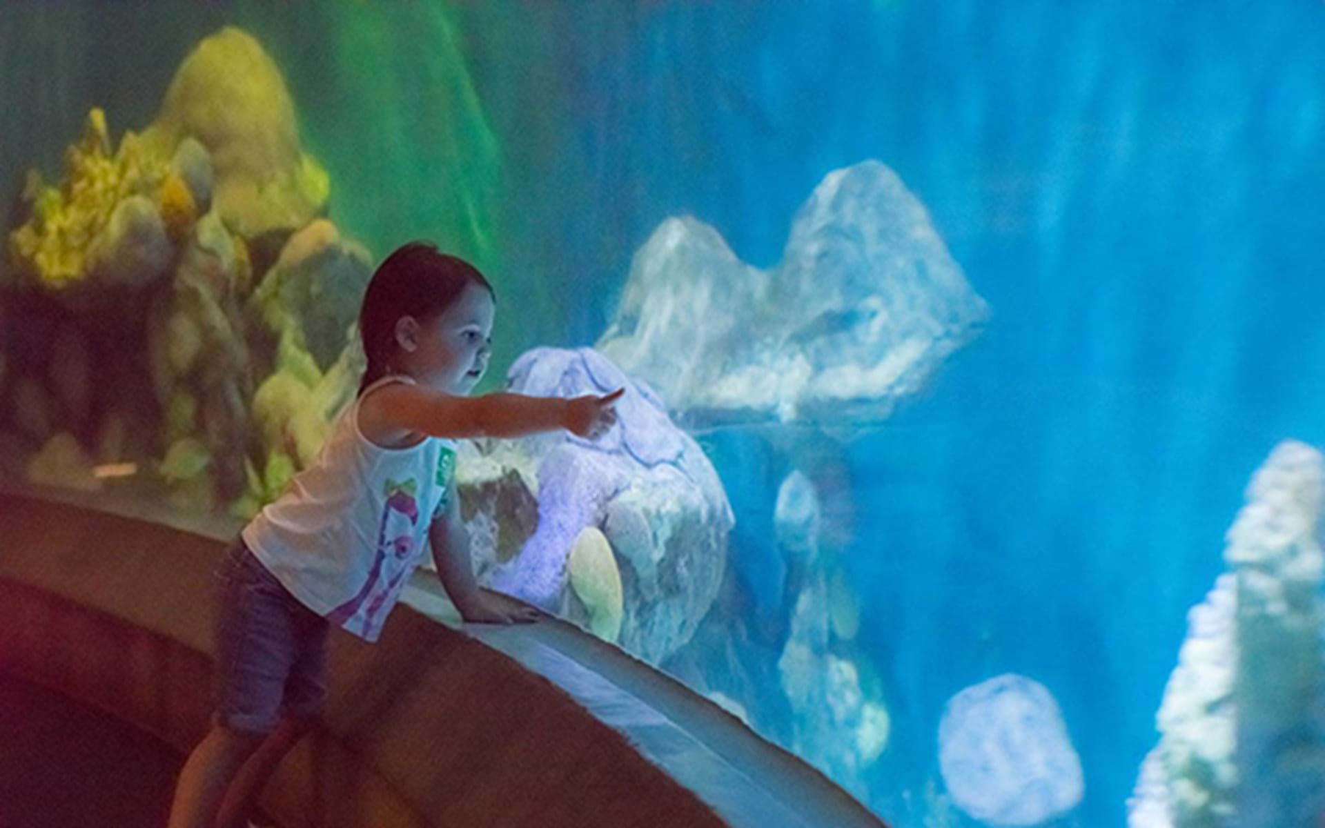 Family Fun in Dubuque