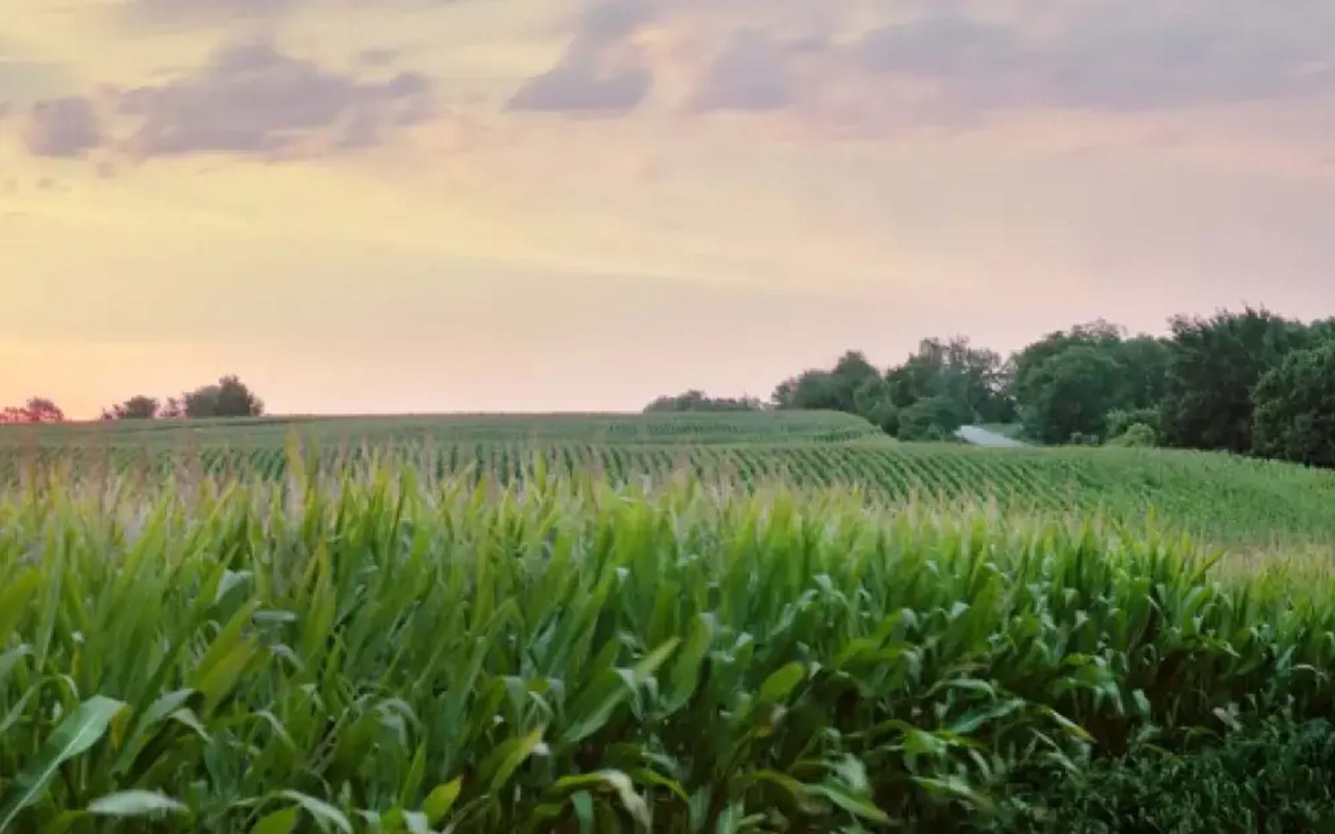 Des Moines Metro Opera: Setting the Standard for the Stage