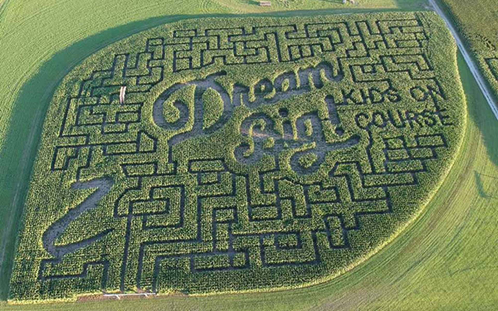 8 A-Maze-Ing Corn Mazes