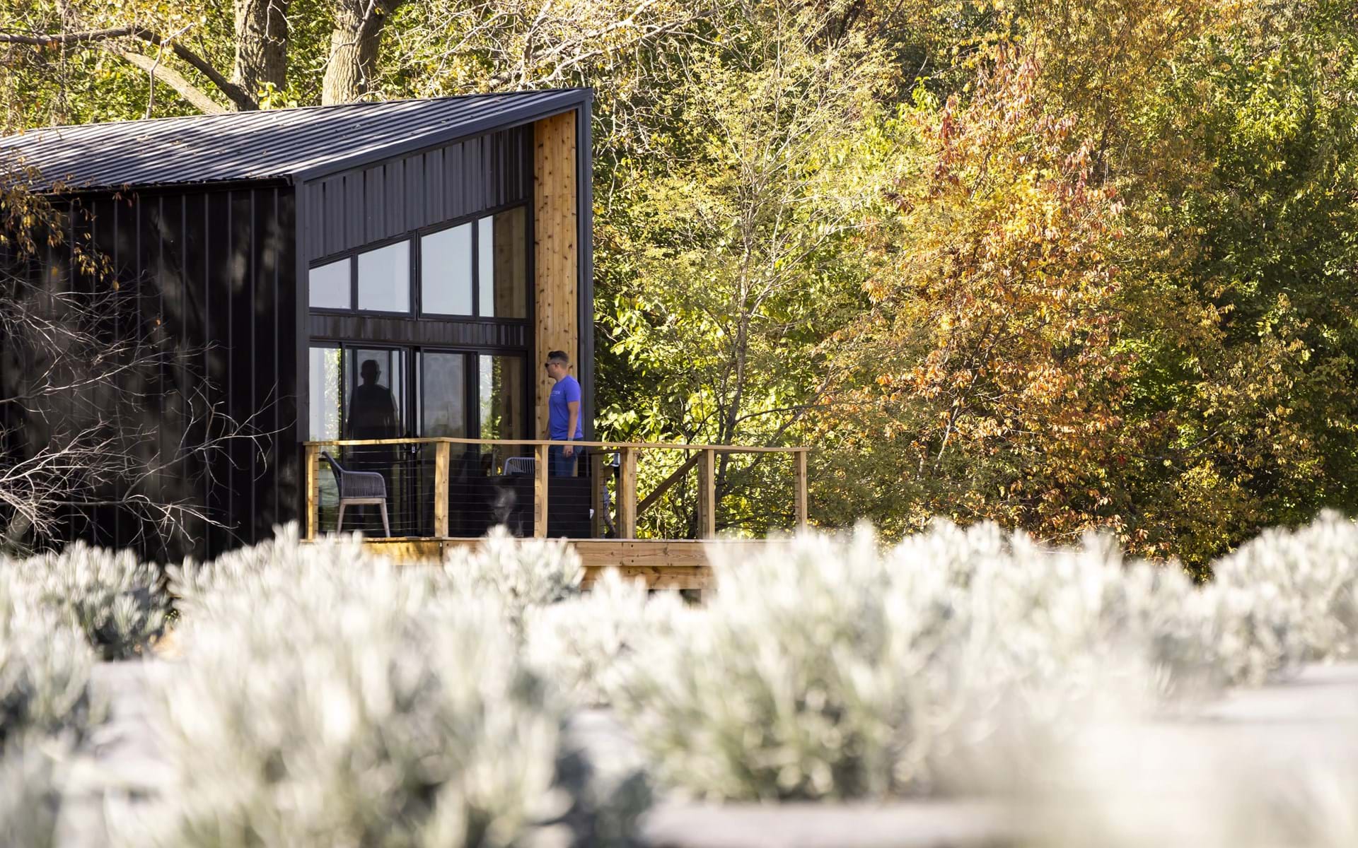 A Treehouse Retreat on an Iowa Lavender Farm