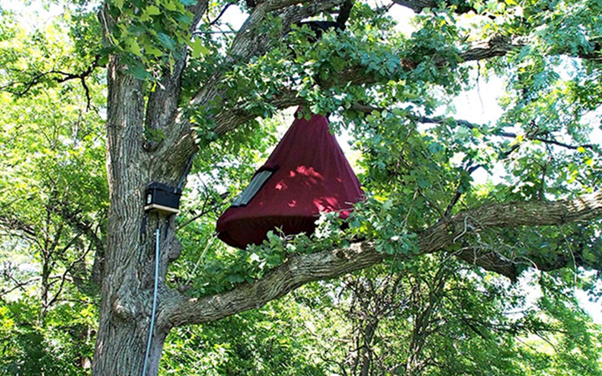 The Most Unique Camping Adventures in Iowa