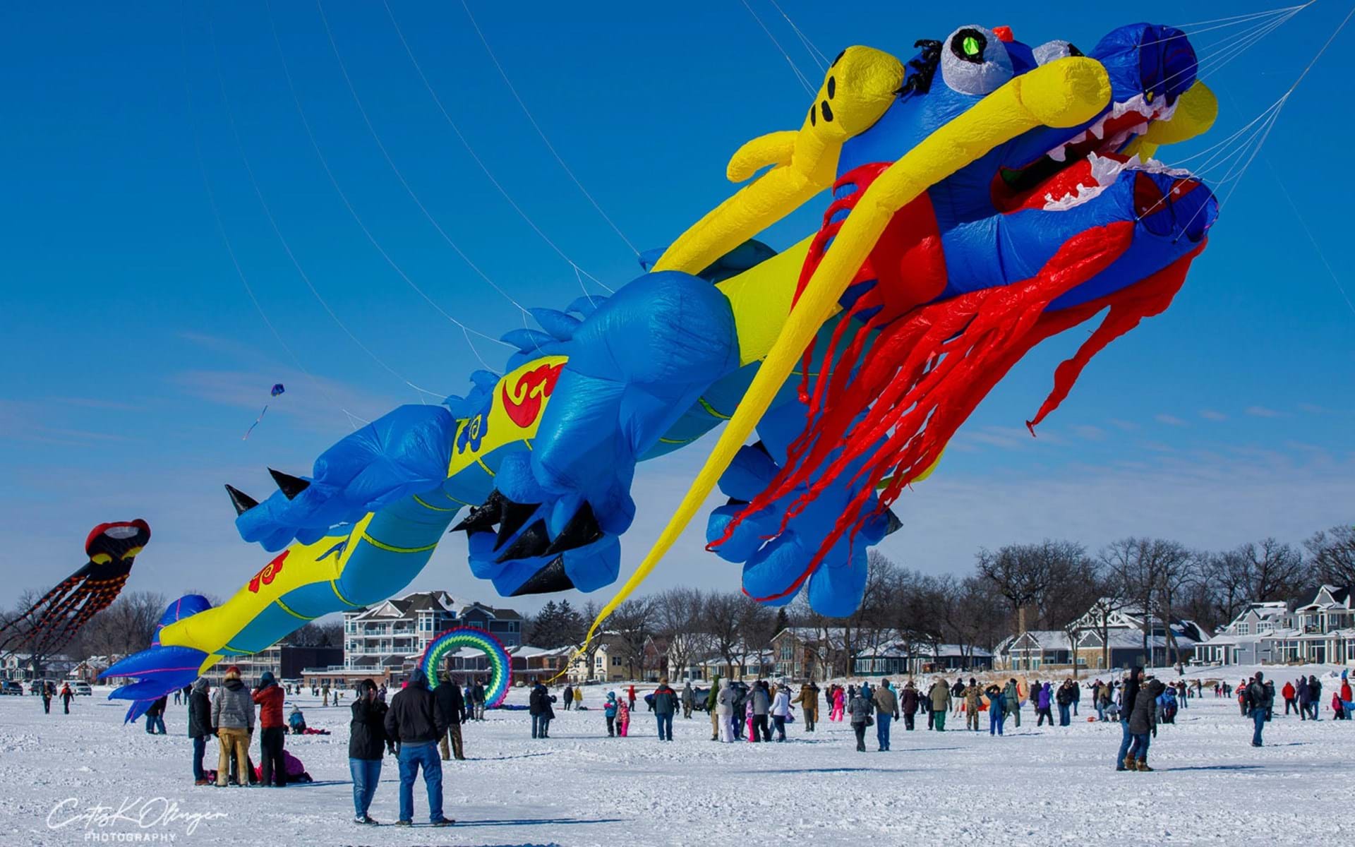 Festive Fun: Top Winter Events in Clear Lake