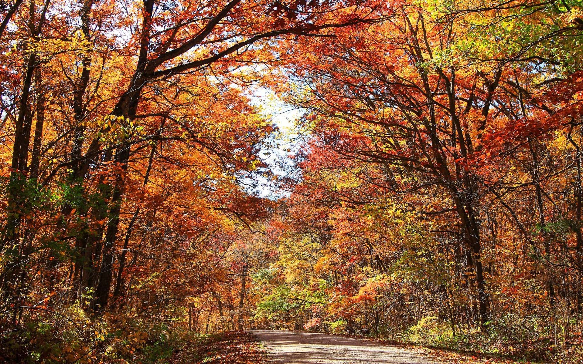 The Best Fall Drives in Iowa's Driftless Area