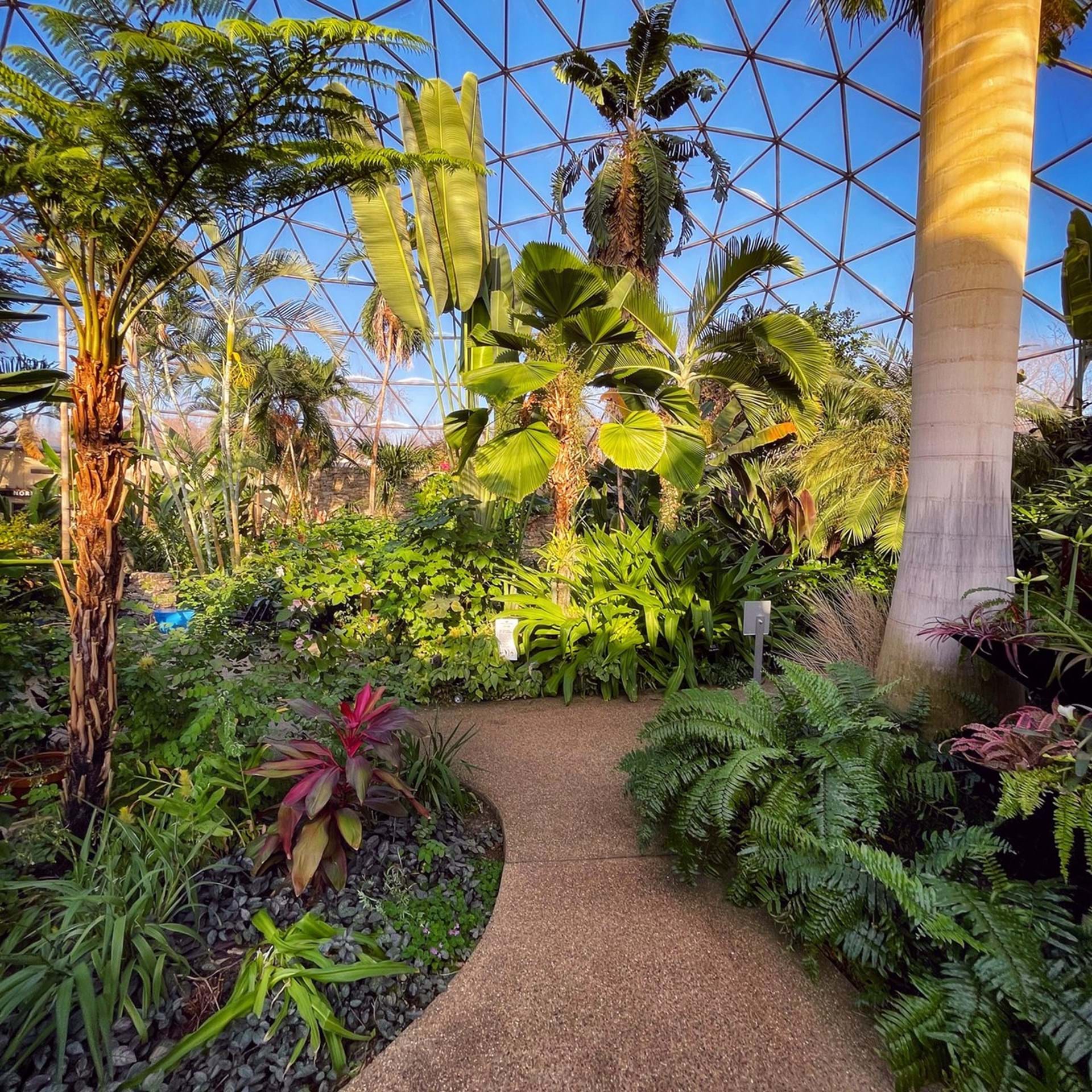 Top 10 Indoor Winter Activities