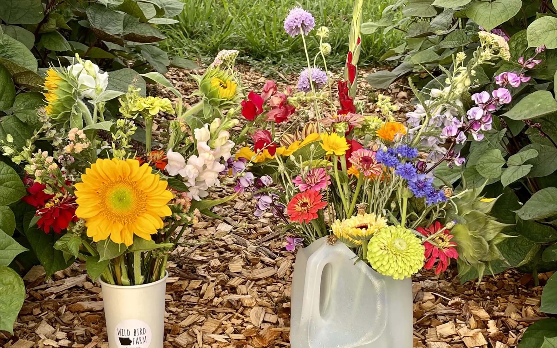 The Best of Iowa's Flower Farms