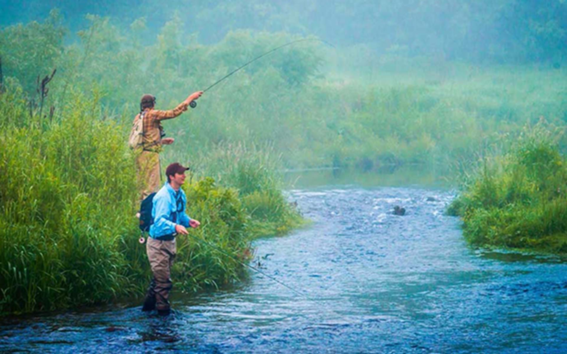 Trout Amid the Cows and Willows: Fishing Iowa's Driftless Area