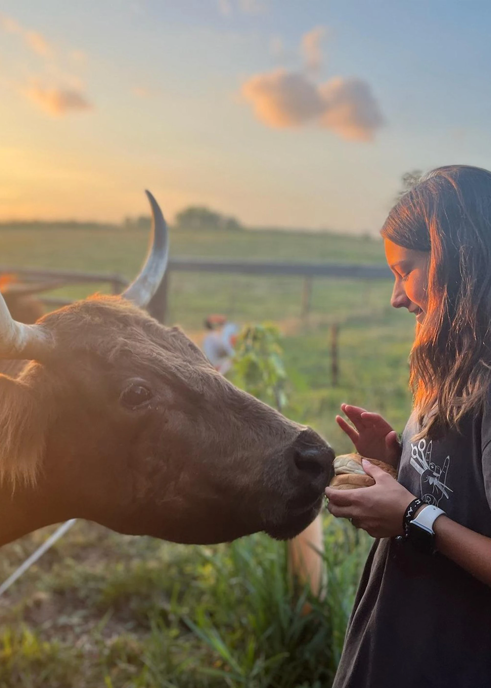 Agritourism