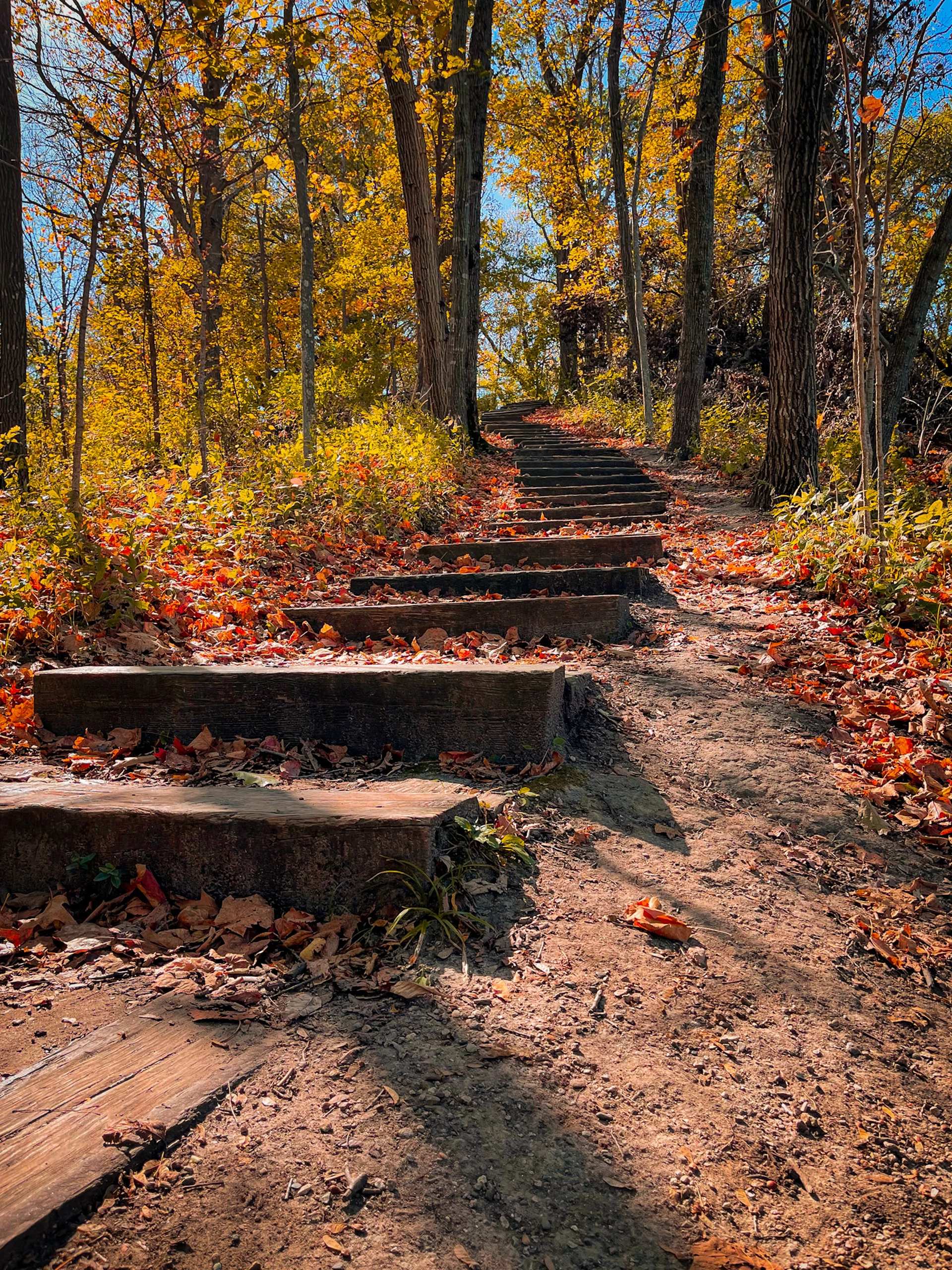 Biking & Trails