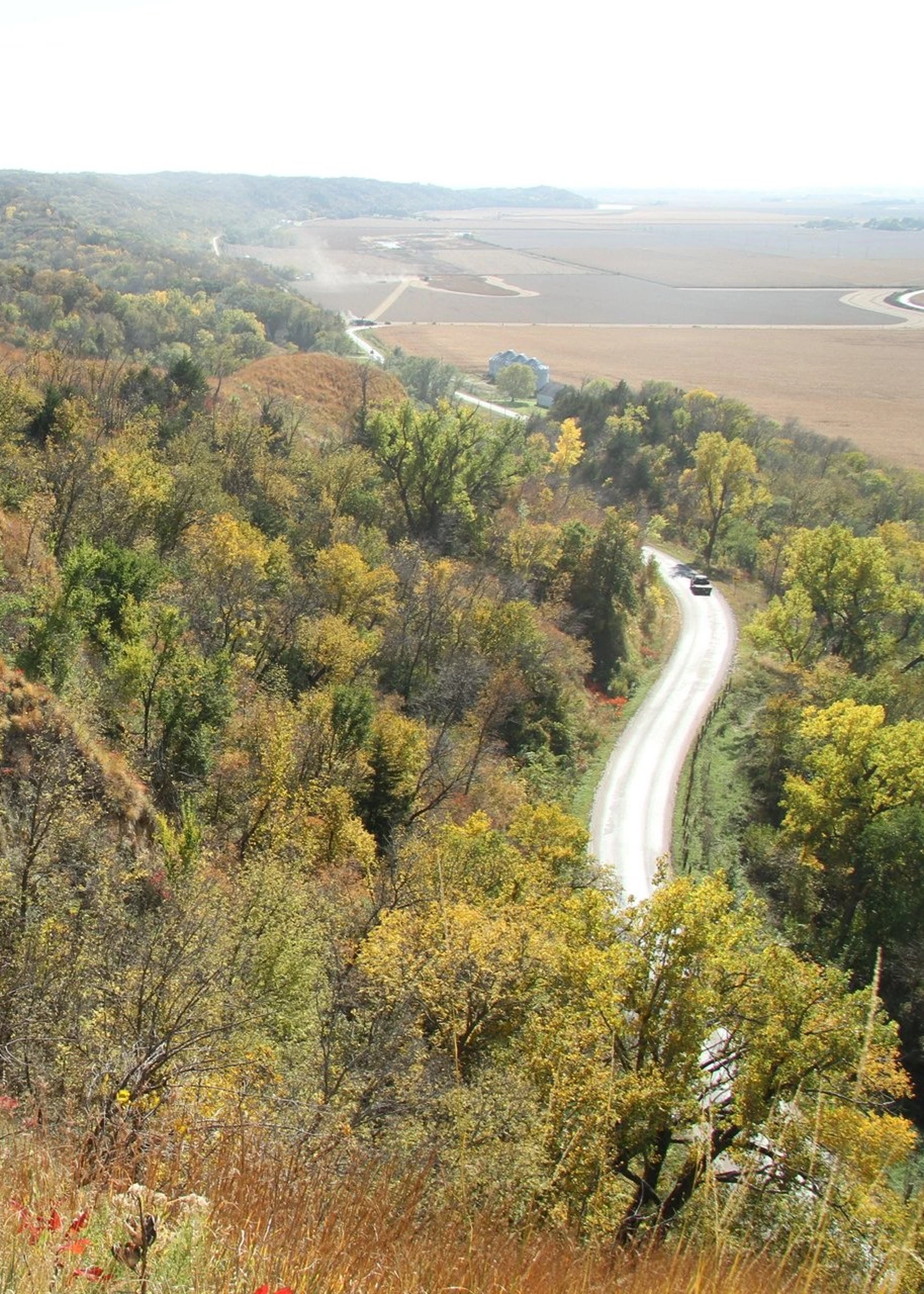 Scenic Road Trips
