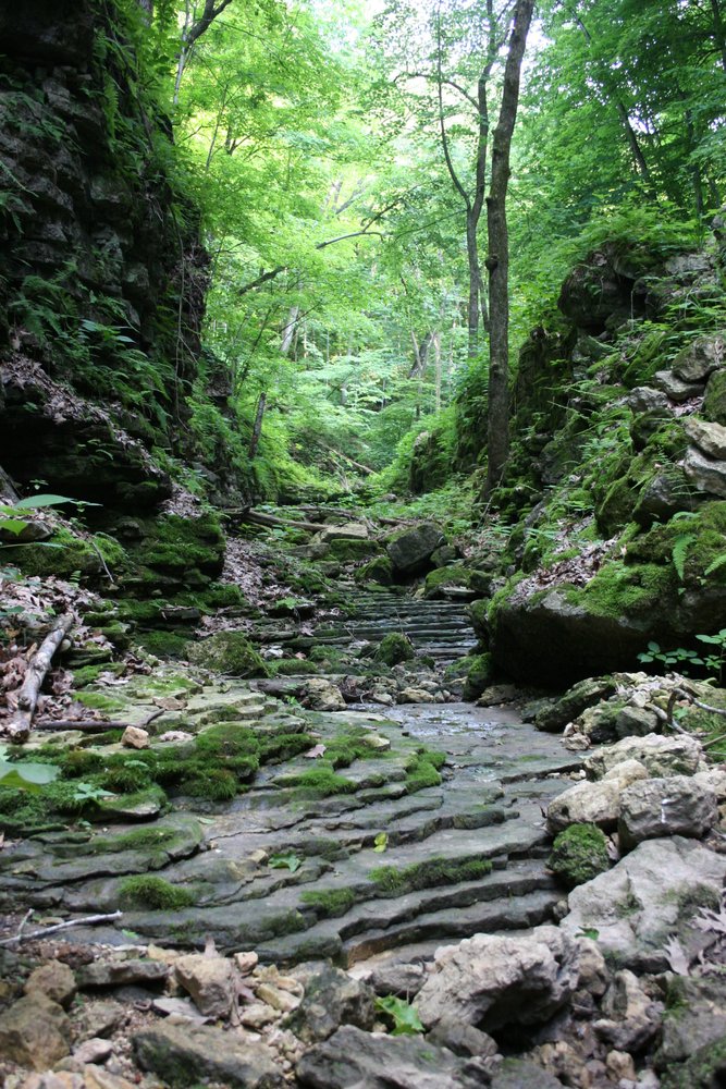 Bixby State Preserve, Edgewood Iowa