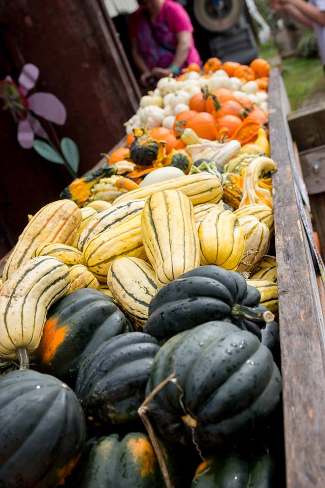 Harvestville Farm, Donnellson