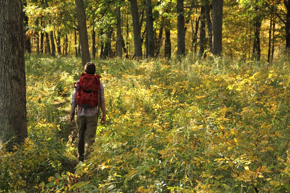 Yellow River State Forest, Harpers Ferry Iowa 