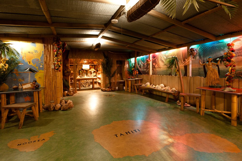 Tahitian Room, Brucemore Mansion, Cedar Rapids Iowa 