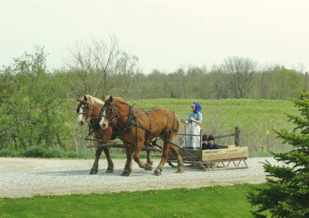 Iowa's Amish Communities