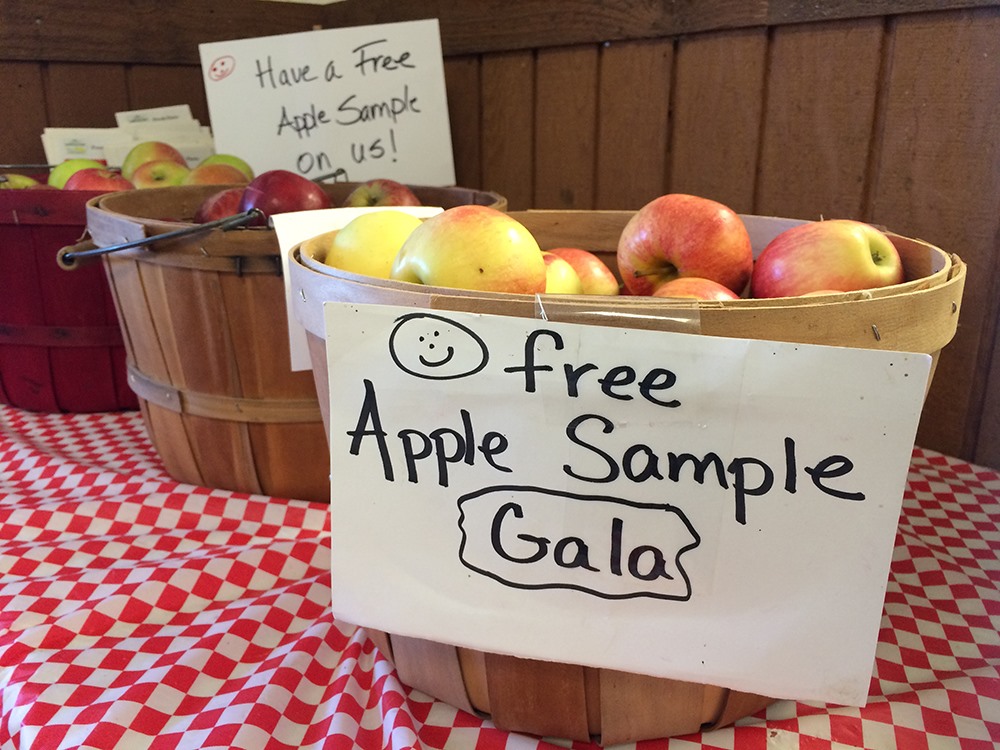 Pick Your Own Harvest: Deal's Orchard, Jefferson Iowa