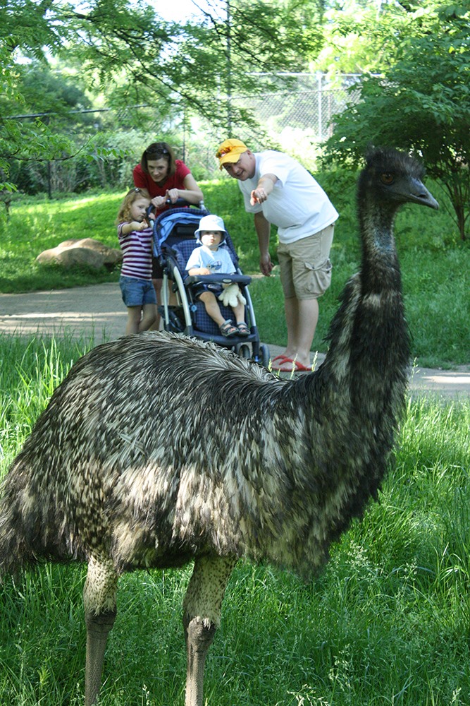 Blank Park Zoo, Des Moines Iowa