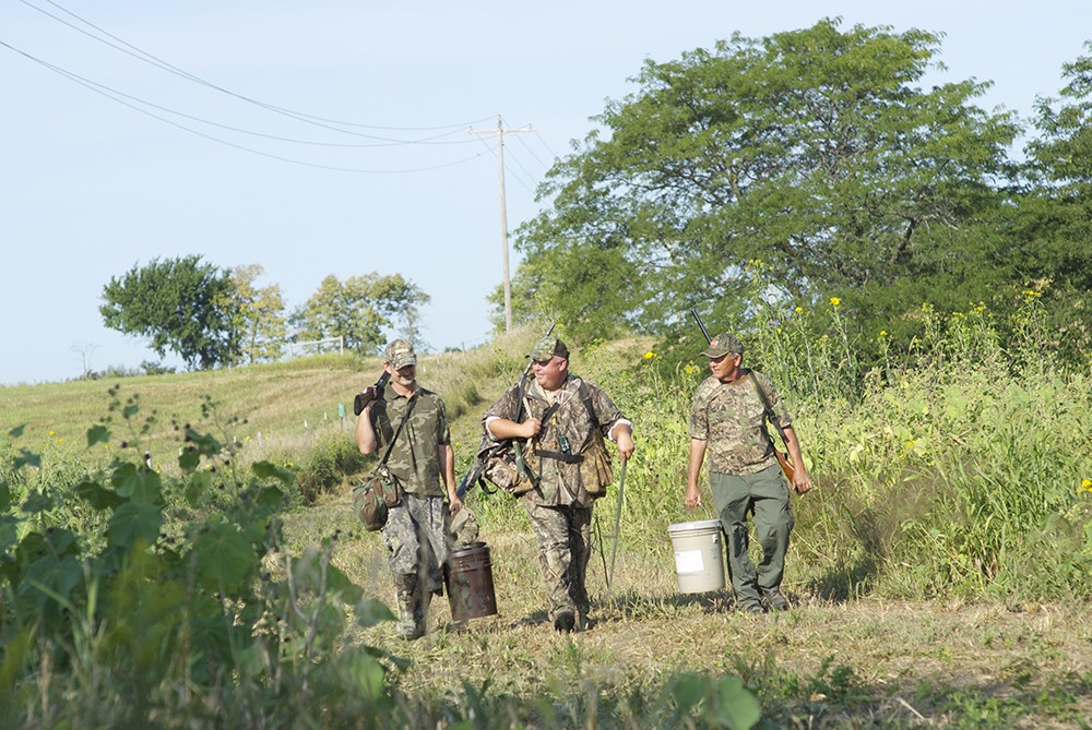 Dove Season Begins September 1 in Iowa