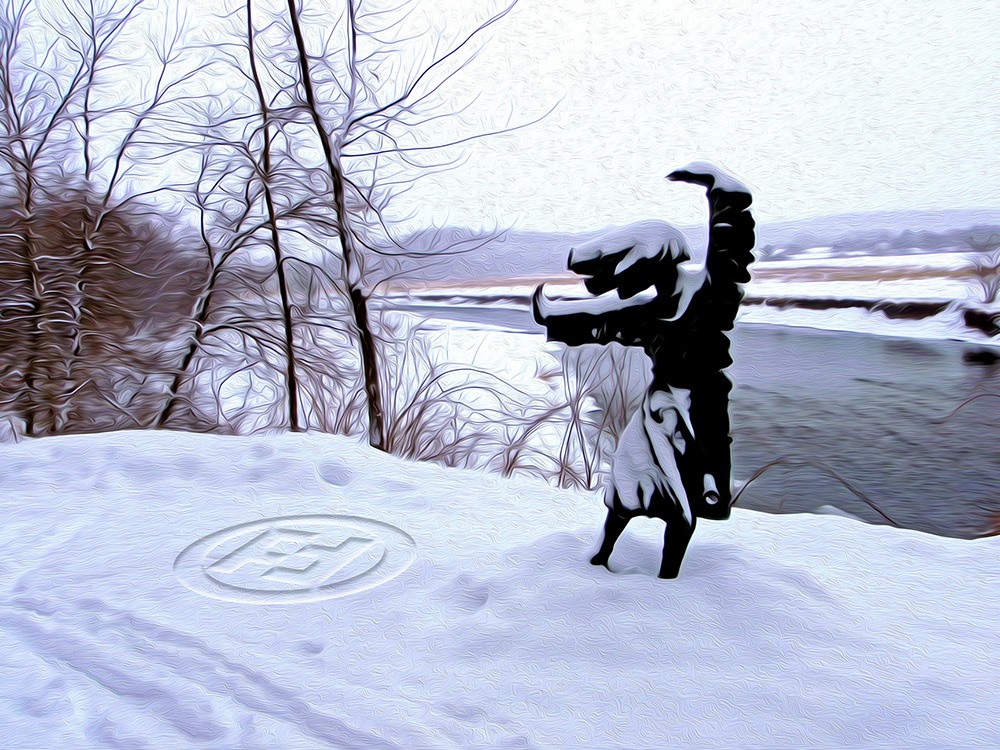 Oneota Film Festival: Decorah, Iowa