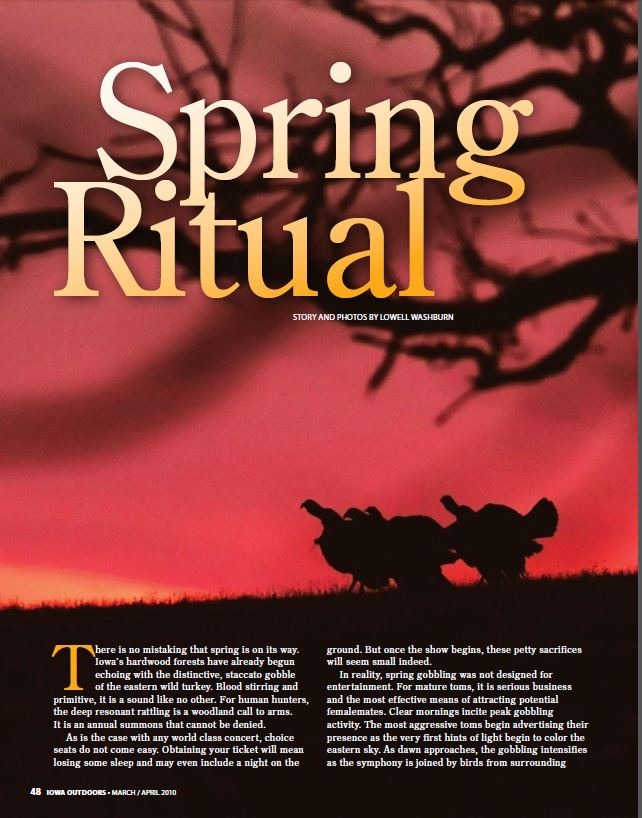 Spring Ritual: Turkey Hunting