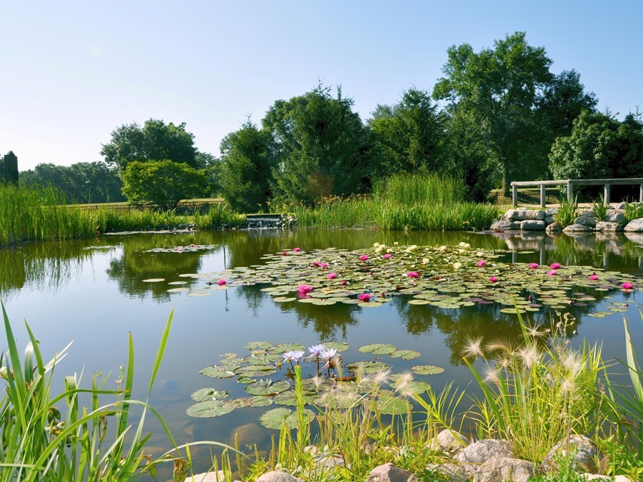 Reiman Gardens, Ames, Iowa