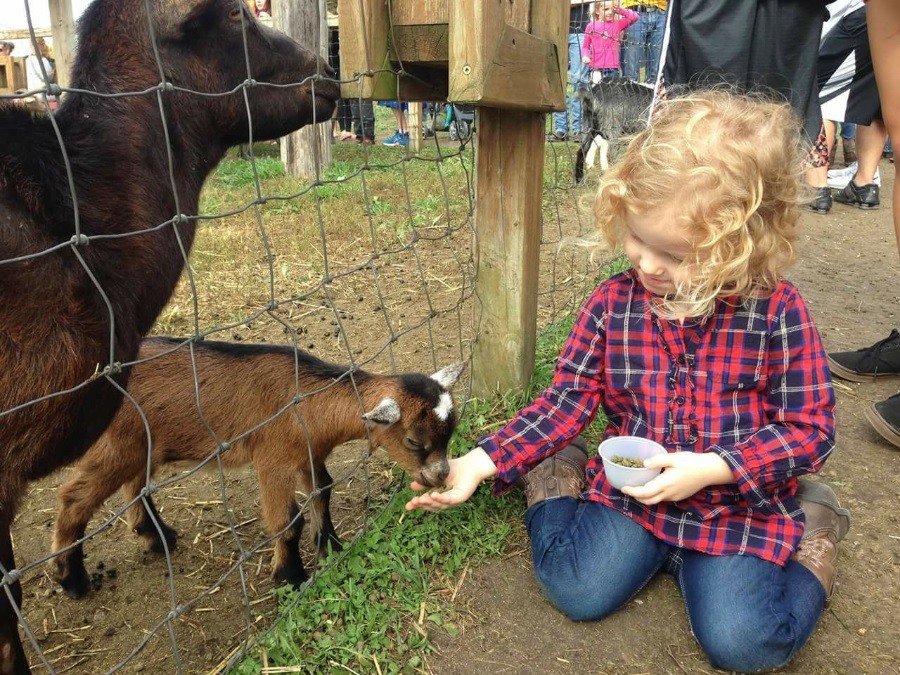 Center Grove Orchard, Iowa