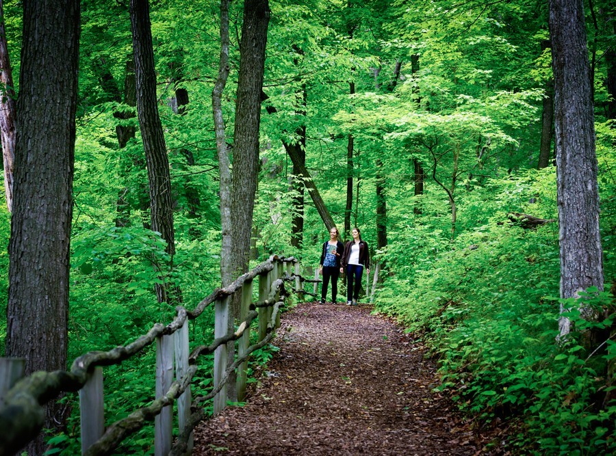 Effigy Mounds, Harpers Ferry Iowa