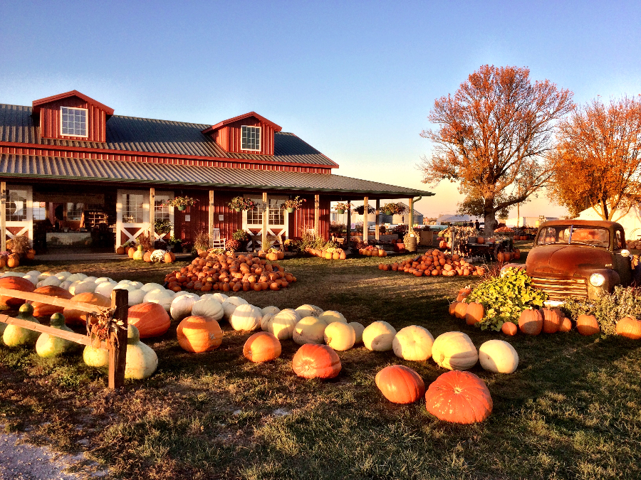 Harvestville Farm, Iowa