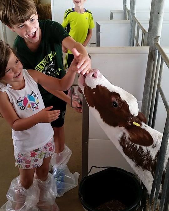 Iowa's Agricultural Museums: Iowa's Dairy Center, Calmar