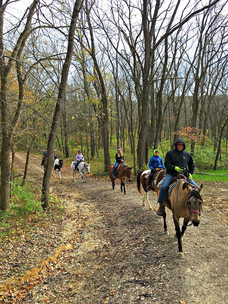 Westercamp Rent a Horse, Farmington