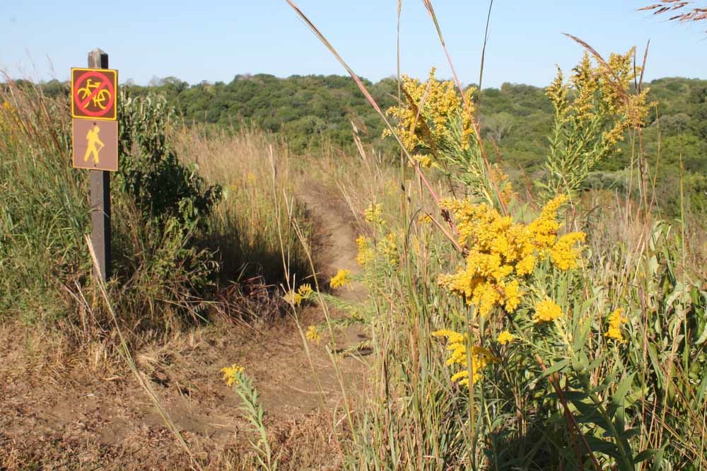 Take a Hike: Waubonsie State Park, Hamburg Iowa