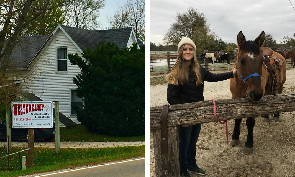 Westercamp Rent a Horse, Farmington