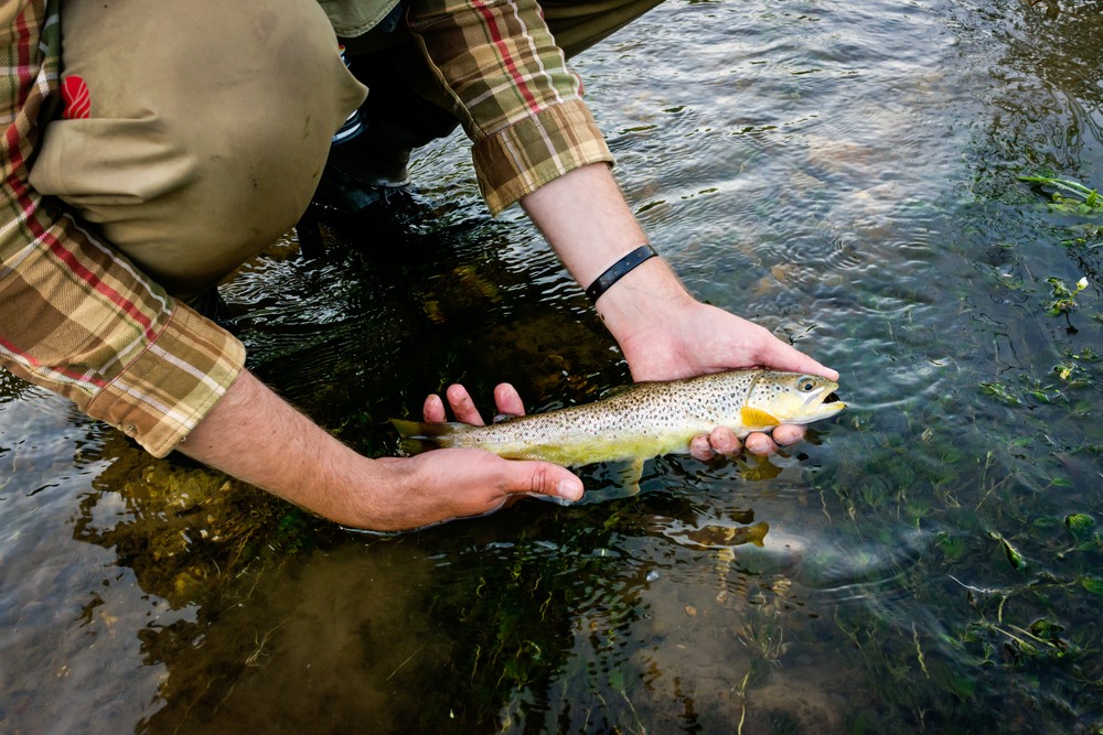 Fly Fishing in Northeast Iowa